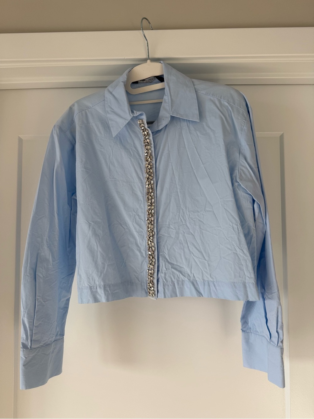 Zara blue button-up shirt with silver embroidery